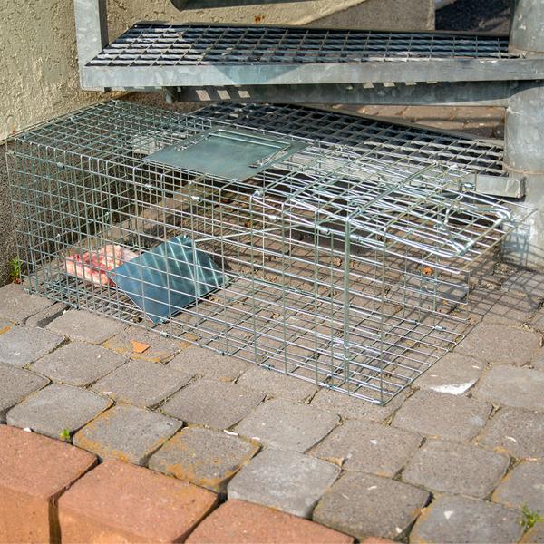 Robuste Marder Lebendfalle (66x26x23cm) aus Metall – Mit Tragegriff & Beissschutz – Sicherer Fang ohne Verletzungen für Mensch und Tier