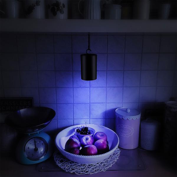 UV Insekten-Klebefalle - Batteriebetrieben, hygienisch, energiesparende UV-LED, automatisch Ein/Aus, für Zuhause & unterwegs - Reichweite 20 qm