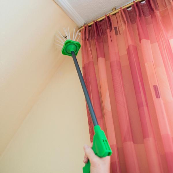 Sicherer Spinnenfang mit extra langem Greifarm (65 cm): Insektenfänger zum Lebendfang – Spinnen & Insekten schonend entfernen