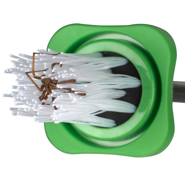 Sicherer Spinnenfang mit extra langem Greifarm (65 cm): Insektenfänger zum Lebendfang – Spinnen & Insekten schonend entfernen