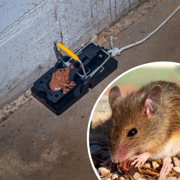 4er-Set Mausefallen aus robustem Kunststoff - Effektive Schlagfalle für Innen- & Aussenbereich - Wiederverwendbar, hygienisch & leicht zu reinigen