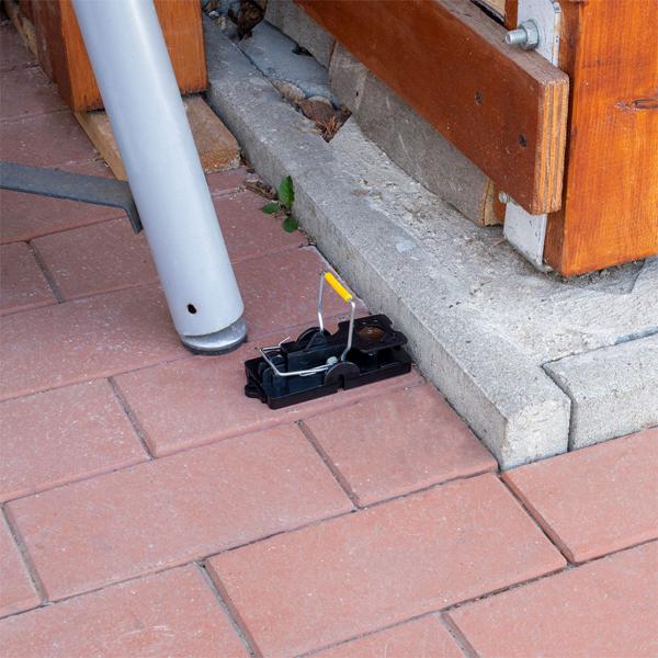 4er-Set Mausefallen aus robustem Kunststoff - Effektive Schlagfalle für Innen- & Aussenbereich - Wiederverwendbar, hygienisch & leicht zu reinigen