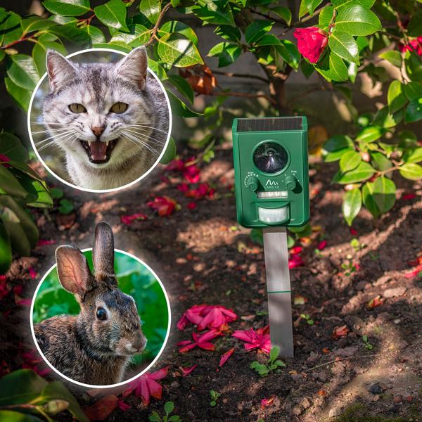 Universal Solar Tiervertreiber mit Ultraschall und Blitzlicht, 150 m² Reichweite, vertreibt Wild- und Haustiere, grün, sicherer Schutz