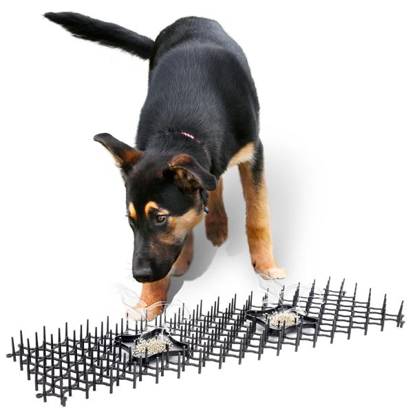 Dornengitter mit Duftschalen 6er Set - effektiver Schutz für Beete, Garten & Motorraum vor Katzen, Hunden, Mardern, Schnecken - 50x15x3 cm Bodengitter