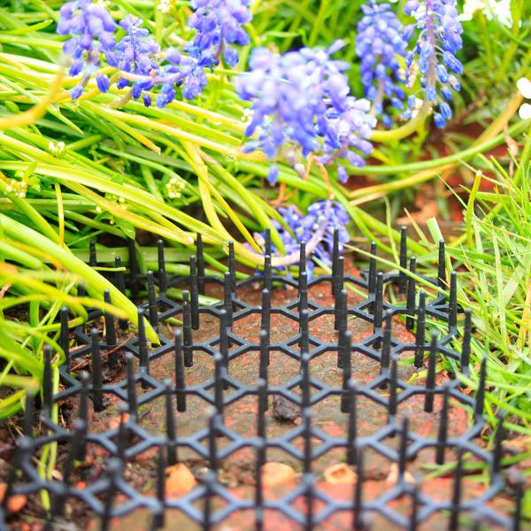 Dornengitter mit Duftschalen 6er Set - effektiver Schutz für Beete, Garten & Motorraum vor Katzen, Hunden, Mardern, Schnecken - 50x15x3 cm Bodengitter