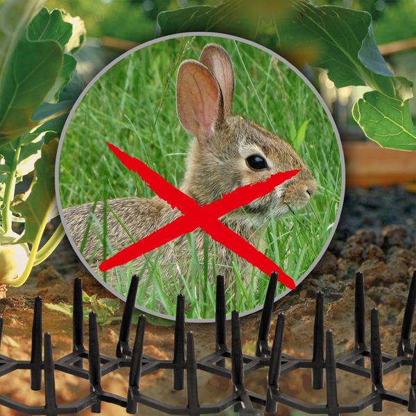 Dornengitter mit Duftschalen 6er Set - effektiver Schutz für Beete, Garten & Motorraum vor Katzen, Hunden, Mardern, Schnecken - 50x15x3 cm Bodengitter