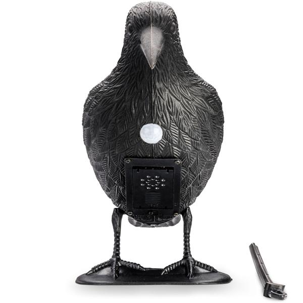 Realistische Vogelabwehr Krähe mit Sound: Batteriebetriebener Raben Vogelschreck für effektive Vogelabwehr. Natürliche Krähengeräusche zur Abschreckung
