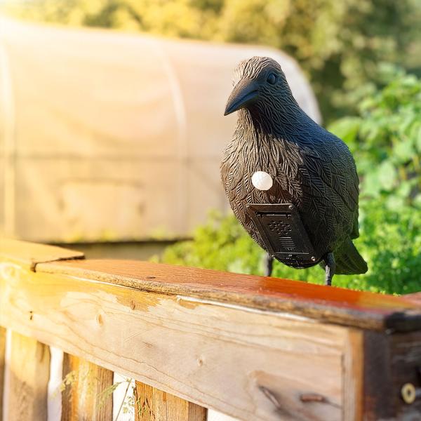 Realistische Vogelabwehr Krähe mit Sound: Batteriebetriebener Raben Vogelschreck für effektive Vogelabwehr. Natürliche Krähengeräusche zur Abschreckung