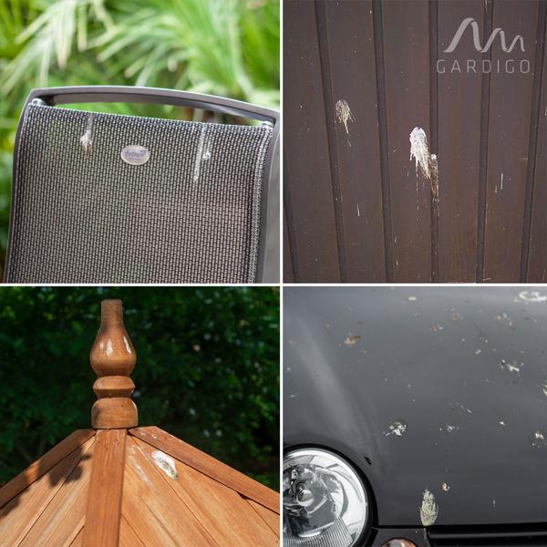 Effiziente Vogelabwehr Krähe mit Sound: Solarbetriebener Raben Vogelschreck für effektive Vogelabwehr. Natürliche Krähengeräusche zur Abschreckung