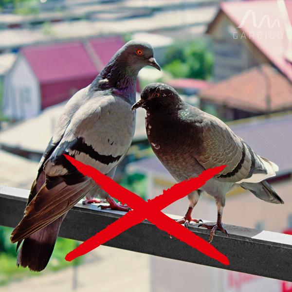 Effiziente Vogelabwehr Krähe mit Sound: Solarbetriebener Raben Vogelschreck für effektive Vogelabwehr. Natürliche Krähengeräusche zur Abschreckung