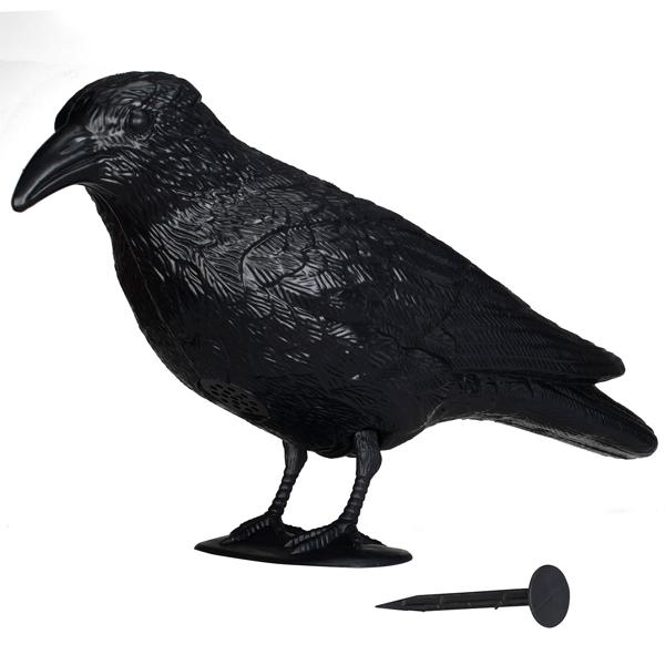 Effiziente Vogelabwehr Krähe mit Sound: Solarbetriebener Raben Vogelschreck für effektive Vogelabwehr. Natürliche Krähengeräusche zur Abschreckung