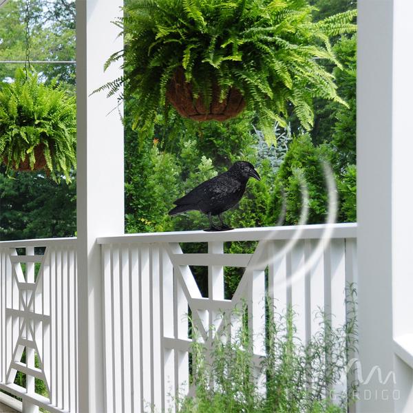 Effiziente Vogelabwehr Krähe mit Sound: Solarbetriebener Raben Vogelschreck für effektive Vogelabwehr. Natürliche Krähengeräusche zur Abschreckung