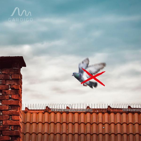 Taubenabwehr Spirale (Edelstahl, 2,4-5 Meter): Vogelschutz - Einfache Montage, flexibel anpassbar, sicherer Schutz, TOP-Qualität