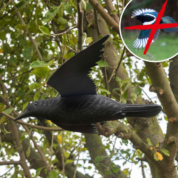 4er-Set Vogelabwehr Falke - Realistische Vogelscheuche mit 59 cm Flügelspannweite - Schützt Beete, Balkone & Ernte vor Tauben, Spatzen, Möwen