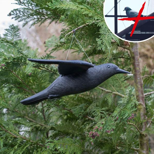 4er-Set Vogelabwehr Falke - Realistische Vogelscheuche mit 59 cm Flügelspannweite - Schützt Beete, Balkone & Ernte vor Tauben, Spatzen, Möwen