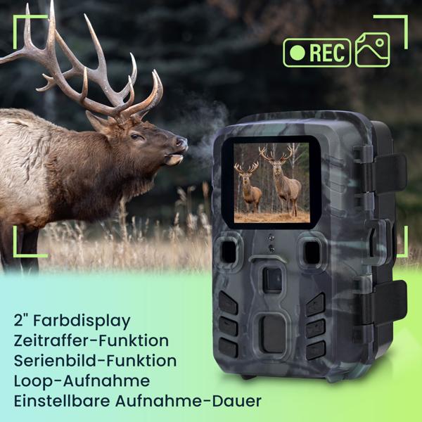 Kompakte Wildkamera, Full HD, PIR Bewegungssensor, Nachtsicht mit IR LEDs, IPX5, 180g leicht, Farbdisplay, inkl. Solar Panel