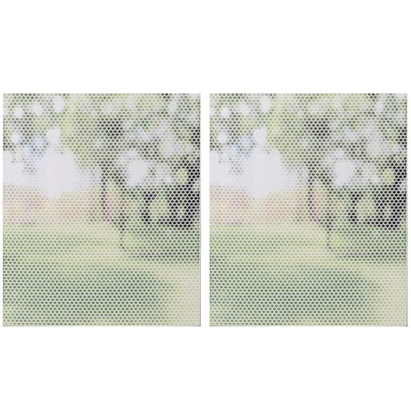 2er-Set Fliegenschutzgitter für Fenster - Zuschneidbar & einfach montierbar - Effektiver Schutz vor Insekten - Weiss, 150x250 cm Polyester-Mückennetz