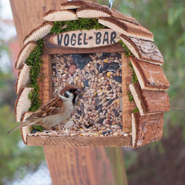 2er-Set Futterstelle Vogelbar - 16x10x16cm Holz/Acryl - Hygienische Vogelfütterung mit Nässeschutz - Für Garten & Aussenbereich