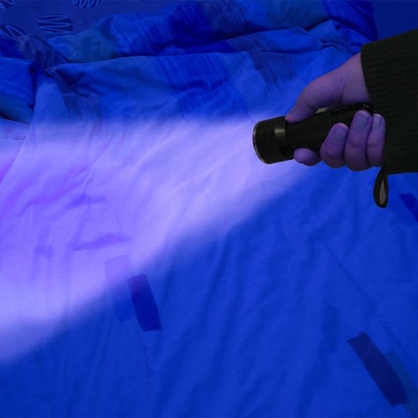 Multifunktionale 2in1 UV-Taschenlampe und Geldschein-/Ausweisprüfer, 21 LEDs, Batteriebetrieb, Für Echtheitsprüfung & Beleuchtung