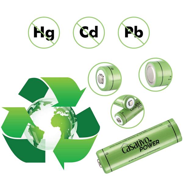 20er Pack AA Akkus 2700 mAh mit Case - Wiederaufladbare NiMH Batterien für Kameras Spielzeug Fernbedienungen - 1.2V - bis 1000 Ladezyklen