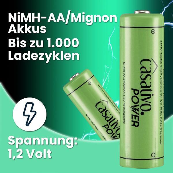 20er Pack AA Akkus 2700 mAh mit Case - Wiederaufladbare NiMH Batterien für Kameras Spielzeug Fernbedienungen - 1.2V - bis 1000 Ladezyklen