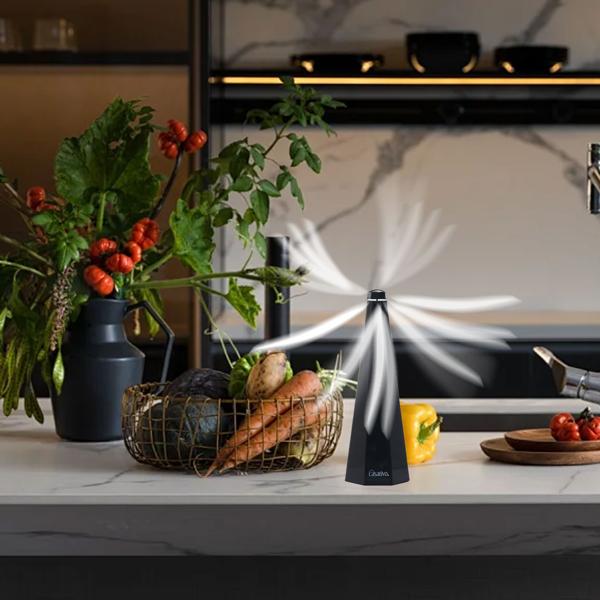 Mobiler 2-Flügel Insektenvertreiber Batterie & USB: Sanfte, effektive Fliegenabwehr für Tisch & unterwegs, flexibel beim Essen & Outdoor