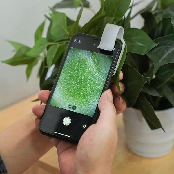 Mikroskop-Vorsatzlinse für Smartphone/Tablet 200x: Mit 6 LEDs für detailreiche Nahaufnahmen, weiss - Entdecken Sie die Mikro-Welt