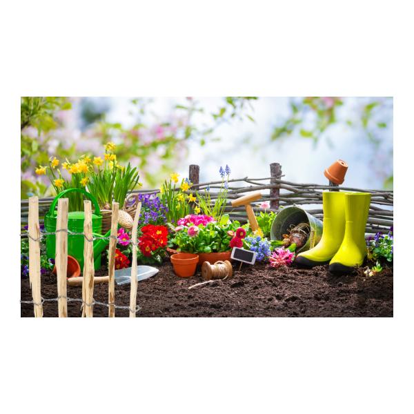 Haselnuss-Beeteinfassung aus Naturholz - Steckzaun mit Pfosten zur einfachen Bodenverankerung - Rustikale Beetumrandung 35x300cm für Gartenbeete