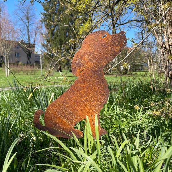 Gartenstecker Welpe aus Metall - Rostbraun & 30cm Länge - Dekoration für Pflanzenkästen, Beete & Garten - Landhaus-Optik mit Erdspiess