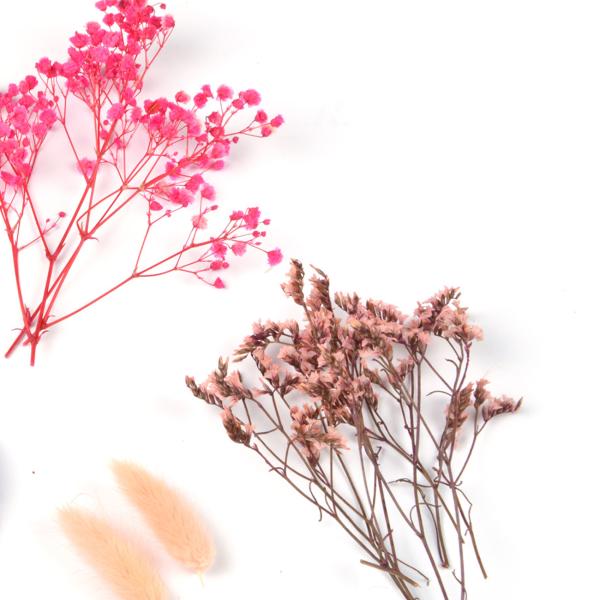 Trockenblumen-Set Natur - Rosafarbene Blüten für stilvolle Ganzjahres-Deko - 30g Bouquet, pflegeleicht, für Vasen Kränze Gestecke