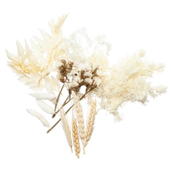 Natürliches Trockenblumen-Set - Stilvolle & vielseitige Deko für Zuhause - Blüten Bouquet Weiss & Beige - Ganzjähriger Blickfang 30g