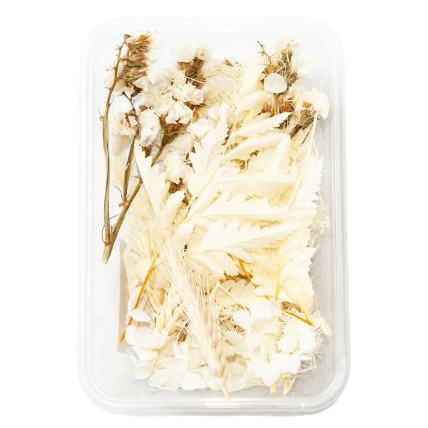 Natürliches Trockenblumen-Set - Stilvolle & vielseitige Deko für Zuhause - Blüten Bouquet Weiss & Beige - Ganzjähriger Blickfang 30g