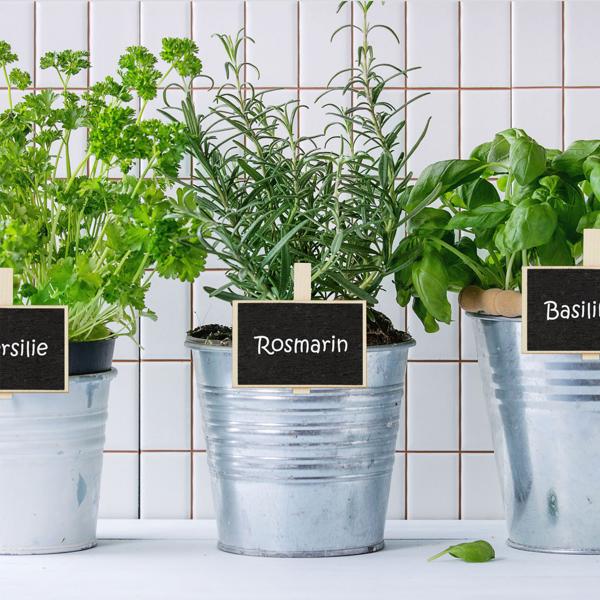 20er-Set Holztafeln mit Klammer - Mini Kreidetafeln für Kräutergarten Pflanzen Namensschilder Etiketten - Wiederverwendbar - Inkl. Kreide - MDF 7x7.5x1.5cm