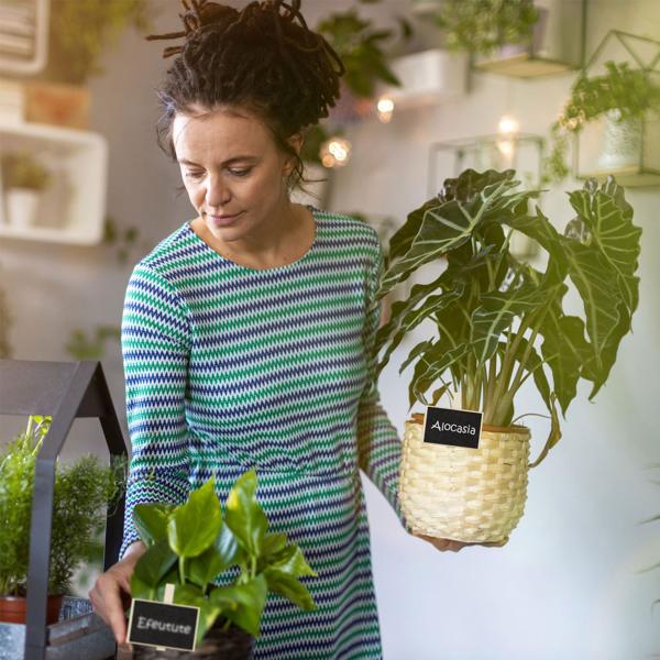 20er-Set Holztafeln mit Klammer - Mini Kreidetafeln für Kräutergarten Pflanzen Namensschilder Etiketten - Wiederverwendbar - Inkl. Kreide - MDF 7x7.5x1.5cm