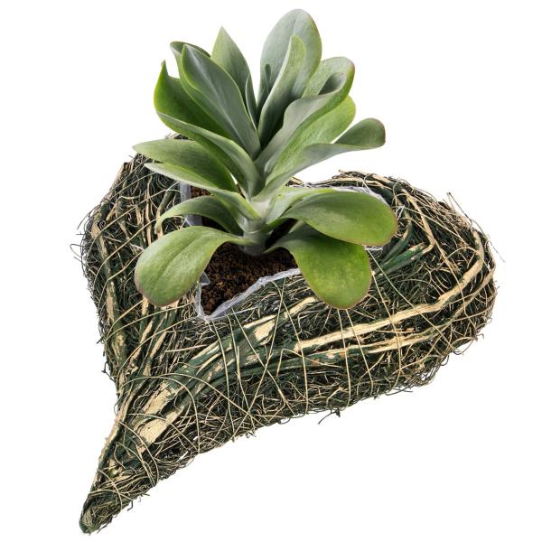 Natur-Pflanztopf Herz - Dekoschale aus Ästen geflochten - Grün/Gold, 25x20x5 cm - Für Innen & Aussen - Umweltfreundlich & vielseitig einsetzbar