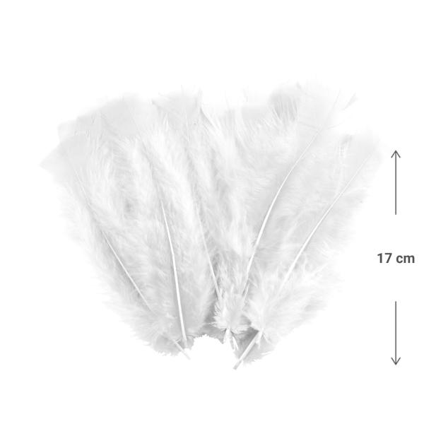 35 weisse Bastelfedern – Bastelzubehör weiche Federn – Länge 17cm – Für DIY-Projekte, Deko, Masken, Traumfänger, Wandschmuck & Osternester