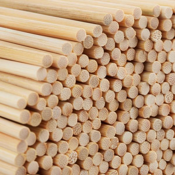 Schaschlikspiesse aus Bambus - Grillspiesse für Gemüse, Tofu, Fleisch & Bastelprojekte - 500 Stück, 30x0,4cm - 100% Natur, biologisch abbaubar, mit Spitze