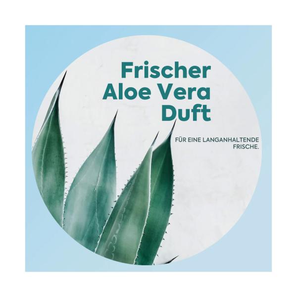 Klaeny Sprühflasche Glasreiniger - 100% recycelter Kunststoff - Wiederverwendbar, ergonomisch & umweltfreundlich - Reduziert Plastikmüll 500ml