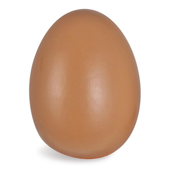 Kaufladenzubehör Eier 7-teilig aus Holz – Lernspielzeug mit Magnetfunktion – Fördert Motorik, ab 2 Jahren – Birkenholz, 10.5x16x7cm