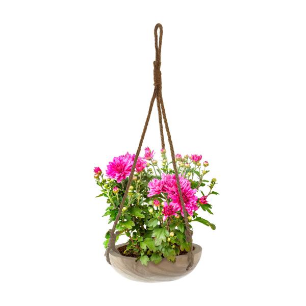 Dekoschale Paulownia Holz zum Aufhängen - Rustikale Holzschale aus einem Stück gefertigt - Mit Juteschnur, 23x6x23cm - Braun Wohnaccessoire