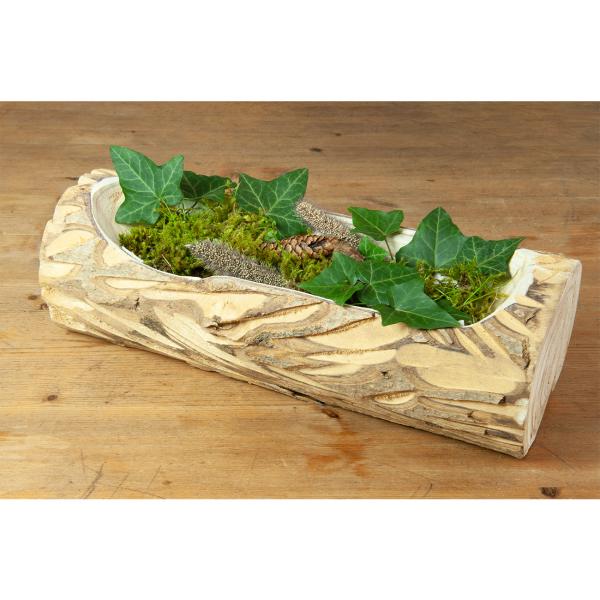 Paulownia Holz Dekoschale aus einem Stück gefertigt - Natur Holzschale mit Naturrand & einzigartiger Maserung - 35x10x12 cm - Ideal zum Bepflanzen