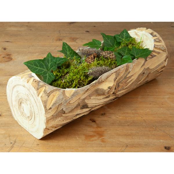 Paulownia Holz Dekoschale aus einem Stück gefertigt - Natur Holzschale mit Naturrand & einzigartiger Maserung - 35x10x12 cm - Ideal zum Bepflanzen