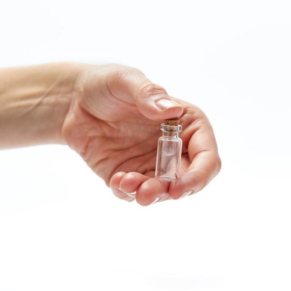 Wunscherfüller Glas mit Korkverschluss - Natürliche Pusteblume - Handgefertigt in Deutschland - Ideal für Hochzeit, Geburtstag, Taufe - Ø 1.5x3.8 cm