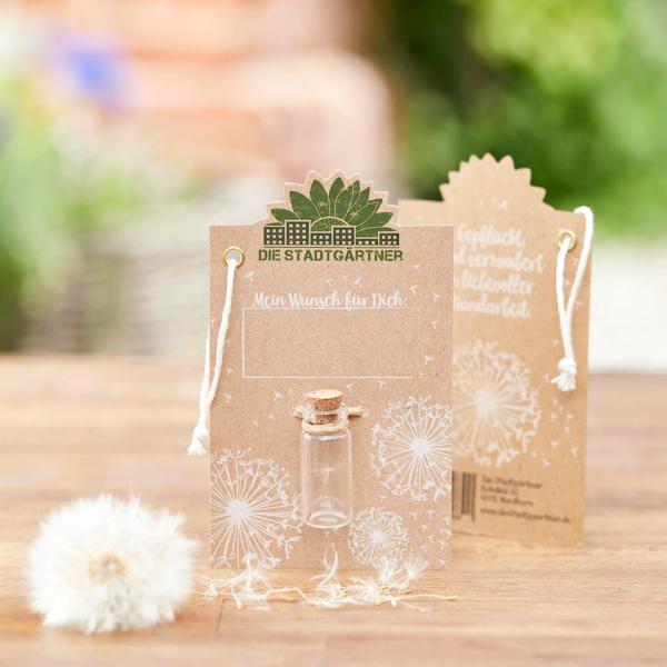 Wunscherfüller Glas mit Korkverschluss - Natürliche Pusteblume - Handgefertigt in Deutschland - Ideal für Hochzeit, Geburtstag, Taufe - Ø 1.5x3.8 cm