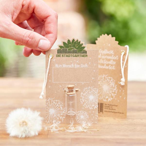 Wunscherfüller Glas mit Korkverschluss - Natürliche Pusteblume - Handgefertigt in Deutschland - Ideal für Hochzeit, Geburtstag, Taufe - Ø 1.5x3.8 cm