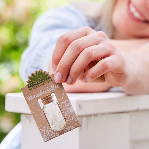 Wunscherfüller Glas mit Korkverschluss - Natürliche Pusteblume, handgefertigt in Deutschland - Ideales Geschenk Hochzeit, Geburtstag, Taufe - Ø2.1x5.2cm