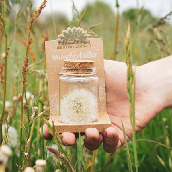 Wunscherfüller Glas - Pusteblume im Glas mit Korkverschluss - Handgefertigt - Ø4.5xH7.5cm - Ideal für Hochzeit Geburtstag Taufe Prüfung - 100% Natur