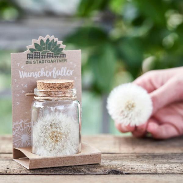 Wunscherfüller Glas - Pusteblume im Glas mit Korkverschluss - Handgefertigt - Ø4.5xH7.5cm - Ideal für Hochzeit Geburtstag Taufe Prüfung - 100% Natur