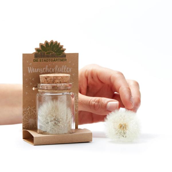 Wunscherfüller Glas - Pusteblume im Glas mit Korkverschluss - Handgefertigt - Ø4.5xH7.5cm - Ideal für Hochzeit Geburtstag Taufe Prüfung - 100% Natur