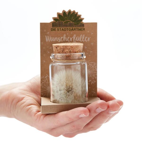 Wunscherfüller Glas - Pusteblume im Glas mit Korkverschluss - Handgefertigt - Ø4.5xH7.5cm - Ideal für Hochzeit Geburtstag Taufe Prüfung - 100% Natur